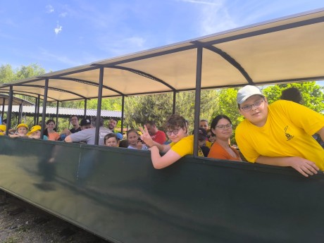 Obrázek WhatsApp, 2025-05-31 v 11.47.03_60fef277